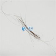 上海凈信研磨頭發(fā)樣品新突破！快速鑒定疑犯是否吸毒