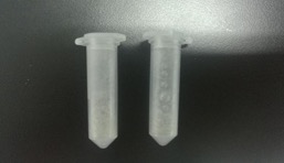 使用多樣品組織研磨儀-24進行研磨指甲超詳細(xì)實驗步驟講解