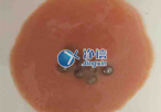 實(shí)驗(yàn)室常用研磨儀器是什么？組織研磨儀常用嗎？